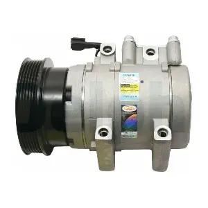 CS20135 DELPHI