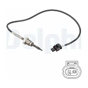 TS30257 DELPHI