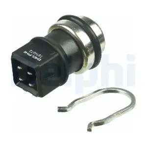 TS10273 DELPHI