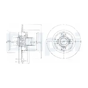 DELPHI BG9029RS