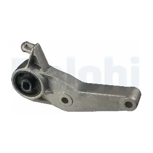 TEM055 DELPHI