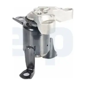 TEM270 DELPHI