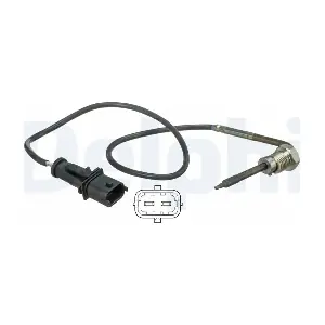 TS30111 DELPHI