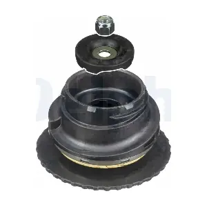 BSJ10081 DELPHI