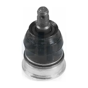 TC4509 DELPHI
