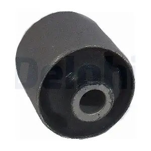TD809W DELPHI