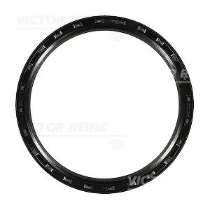 81-23113-30 VICTOR REINZ