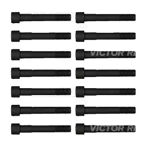 14-55065-01 VICTOR REINZ
