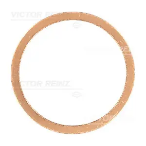 41-70220-00 VICTOR REINZ