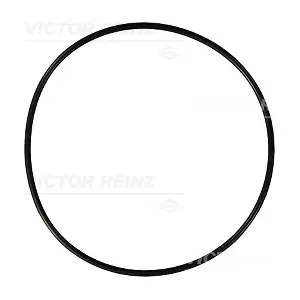 VICTOR REINZ 407695900