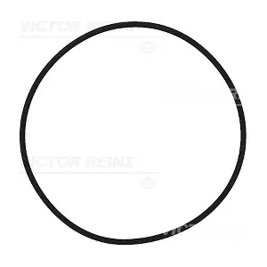 40-73554-00 VICTOR REINZ