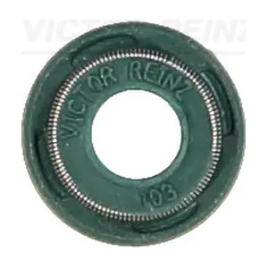 VICTOR REINZ 705399100