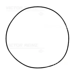 407691010 VICTOR REINZ