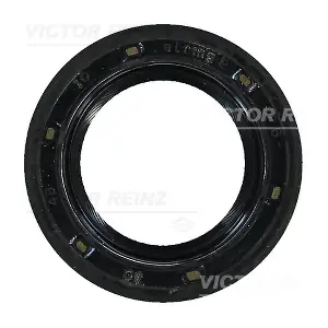 81-35284-00 VICTOR REINZ