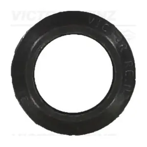 70-21918-10 VICTOR REINZ