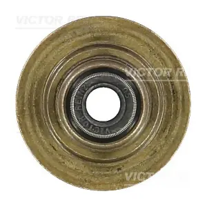70-35547-00 VICTOR REINZ