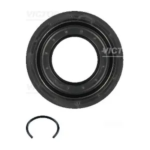 15-31193-01 VICTOR REINZ