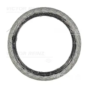 71-17265-00 VICTOR REINZ