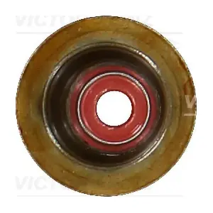 70-17510-00 VICTOR REINZ