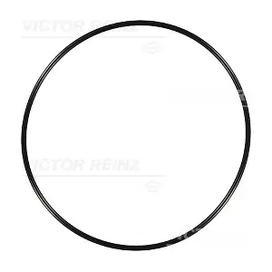40-76248-00 VICTOR REINZ
