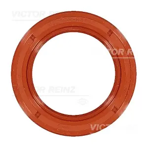 81-22700-10 VICTOR REINZ