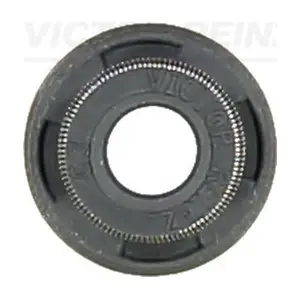 70-53929-00 VICTOR REINZ