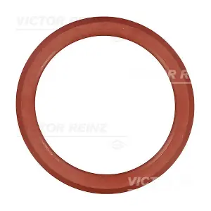 71-38552-00 VICTOR REINZ