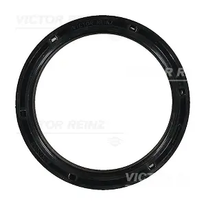 VICTOR REINZ 813505100