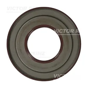 81-54107-00 VICTOR REINZ