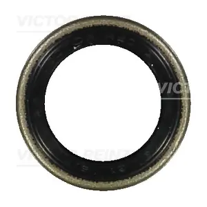 81-24010-00 VICTOR REINZ