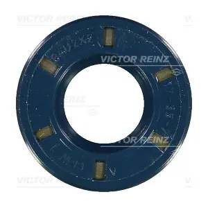 81-17193-00 VICTOR REINZ