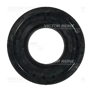 VICTOR REINZ 813963400
