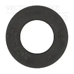 70-20423-10 VICTOR REINZ
