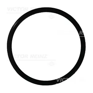 40-76165-00 VICTOR REINZ