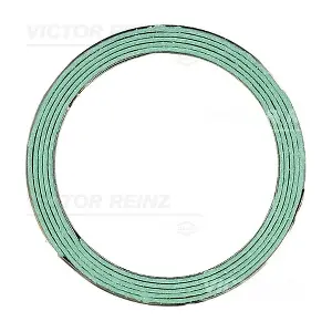 71-52919-00 VICTOR REINZ