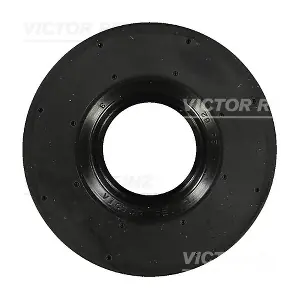 81-17216-20 VICTOR REINZ