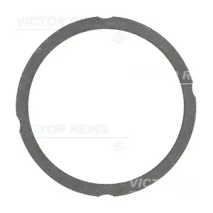 61-25475-40 VICTOR REINZ