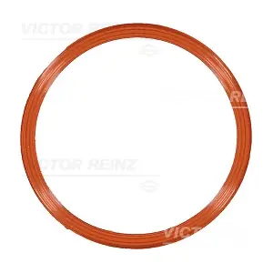 71-10829-00 VICTOR REINZ