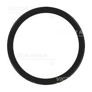 81-36001-00 VICTOR REINZ