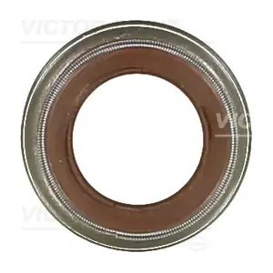 70-24312-10 VICTOR REINZ