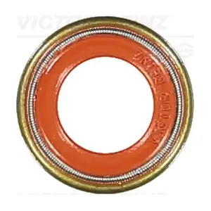 70-36004-10 VICTOR REINZ