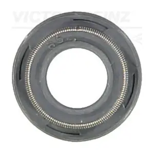 70-53204-00 VICTOR REINZ
