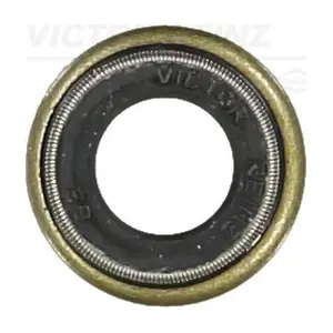 70-25824-20 VICTOR REINZ