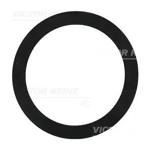 40-77392-00 VICTOR REINZ