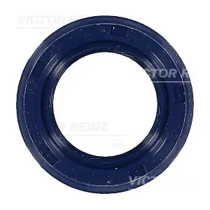 VICTOR REINZ 815321900