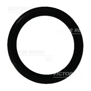 40-76473-00 VICTOR REINZ
