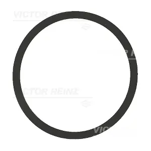 40-77542-00 VICTOR REINZ