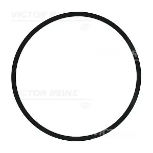 407721000 VICTOR REINZ