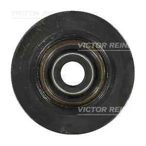 70-10437-00 VICTOR REINZ