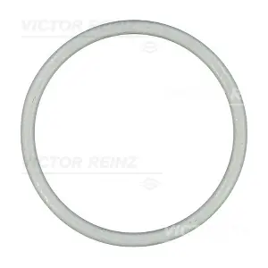 41-73067-30 VICTOR REINZ